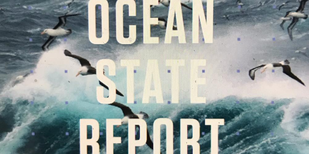 Cécile Dupouy, Andra Whiteside (MIO) et Pascal Douillet (ex MIO) ont participé au Rapport Copernicus Ocean State Report n°6, 2022
