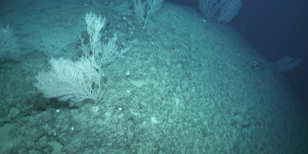First measurements of plastics in the Mediterranean deep sea 