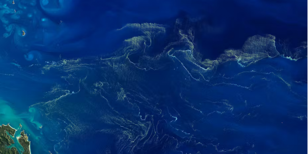Climat : des microalgues virtuelles pour mieux comprendre le rôle de l’océan 