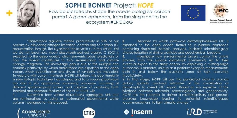 Sophie Bonnet (MIO-CYBELE), lauréate de l’appel ERC Consolidator Grant 2021