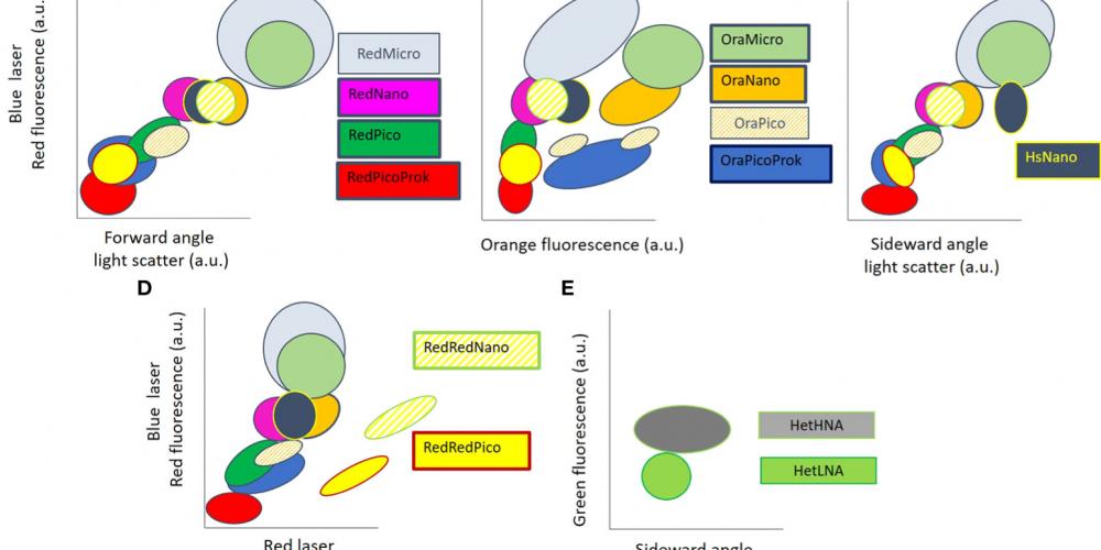 Interoperable vocabulary for marine microbial flow cytometry