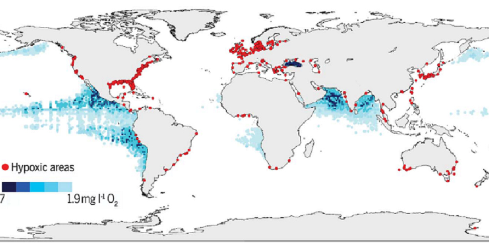 Désoxygénation océanique : un phénomène global accentué en milieu côtier 