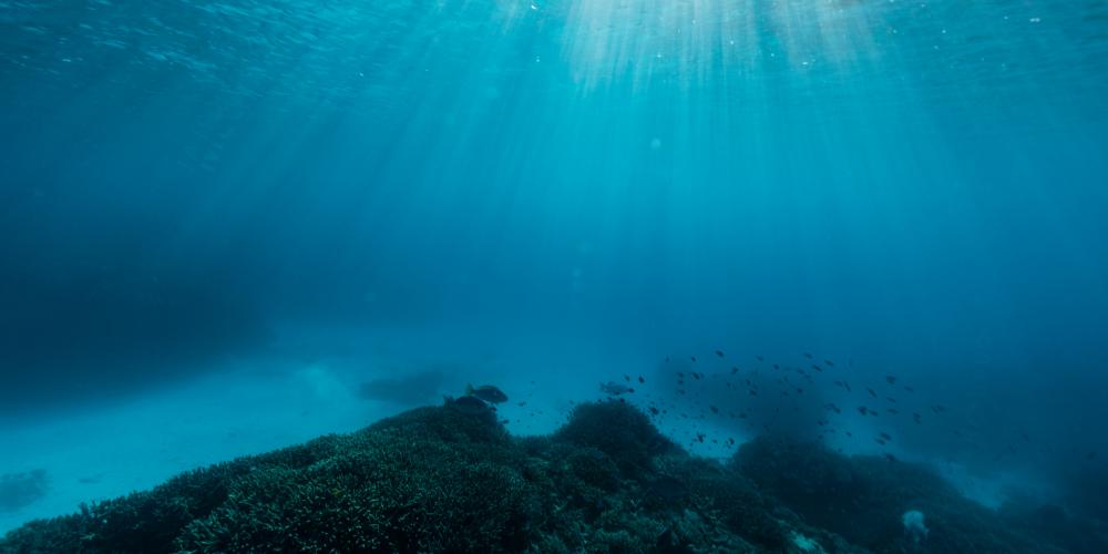 Et si nos océans (sub)tropicaux captaient plus de CO2 que prévu ?