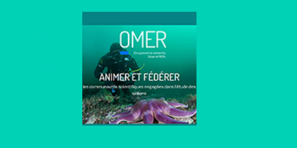 Le groupement de recherche océan et mers (GDR Omer) a désormais un site internet dédié à ses actions.