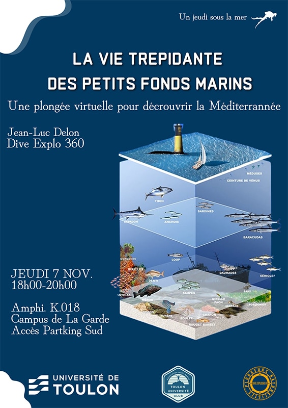 La vie trépidante des petits fonds marins