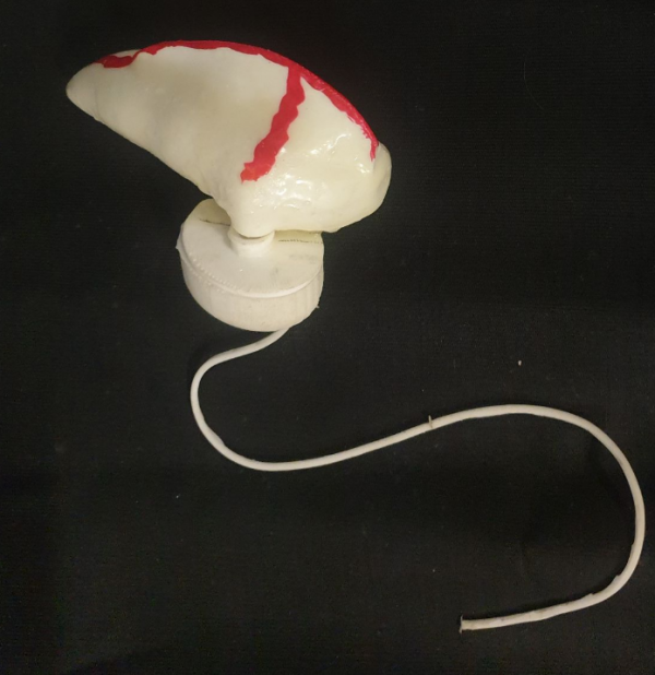 Bluebottles models printed from 3D scans