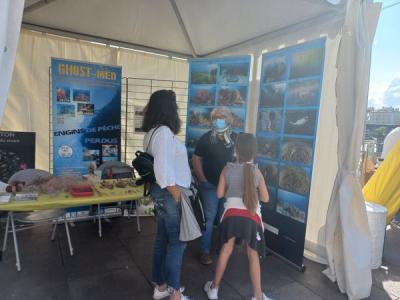 GhostMed - A la recherche des engins de pêche perdus